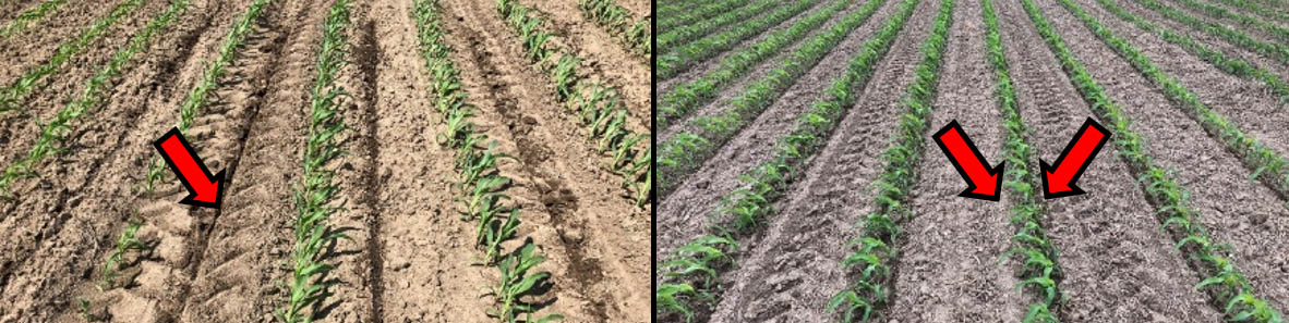 Comparison of coulter-inject and Y-drop Nitrogen placement